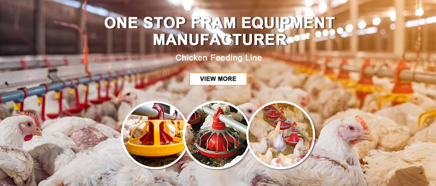 Trung Quốc tốt Chảo cho gia cầm ăn bán hàng