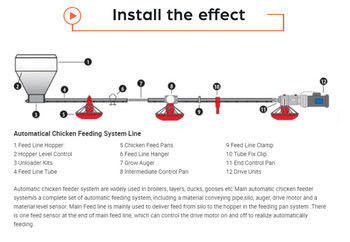 Automatic bird feeder feeding pan agricultural machinery & equipment
