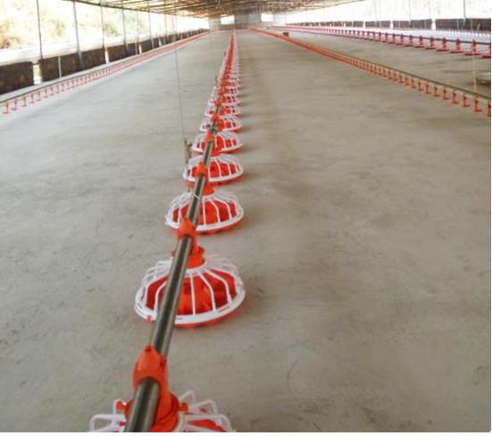 Hệ thống máy khoan thức ăn cho gà hoàn toàn tự động Máy cấp liệu cho gia cầm cho trang trại 0