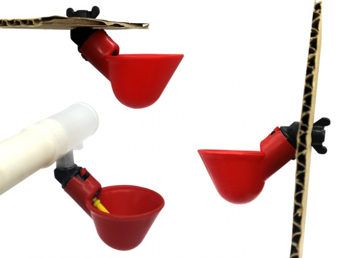 Nông Trại Động Vật Dụng Cụ Tự Động Gà Chim Chuồng Gia Cầm Nước Bình Tập Uống Nhựa Gà Gà Gà Núm Vú Người Uống Nhỏ Giọt 7