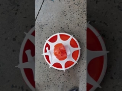 Máy cho gà ăn tự động, dây chuyền cho ăn đơn giản, trọn bộ thiết bị cho ăn