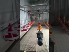 Núm vú nước tự động Chế độ kiểm soát nước Dòng nước cho chim