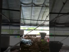 Tùy chỉnh thiết bị trung chuyển trang trại gà tự động có thể điều chỉnh điện áp