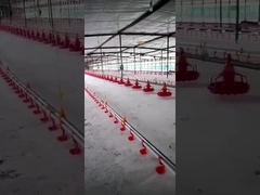 Bình uống chuông tự động Plasson Bucket cho gia cầm Thiết bị gia cầm