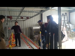 Vịt ngỗng nước uống hệ thống tưới nước Máy uống nước núm vú cho chăn nuôi gia cầm gia cầm